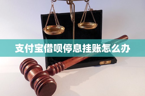 支付宝借呗停息挂账怎么办