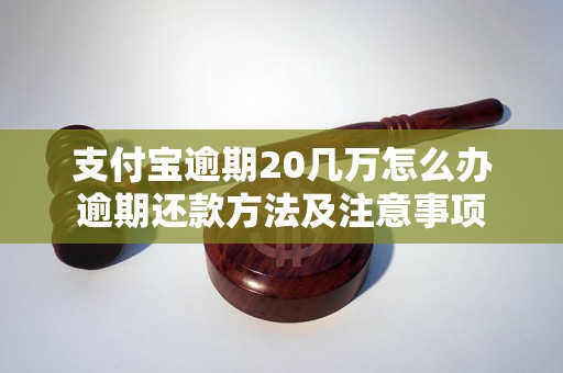 支付宝逾期20几万怎么办逾期还款方法及注意事项