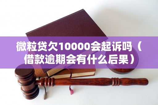 微粒贷欠10000会起诉吗（借款逾期会有什么后果）