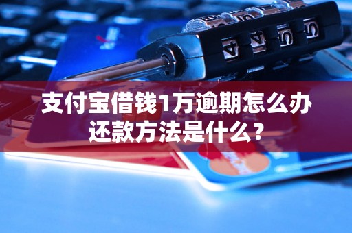 支付宝借钱1万逾期怎么办还款方法是什么？