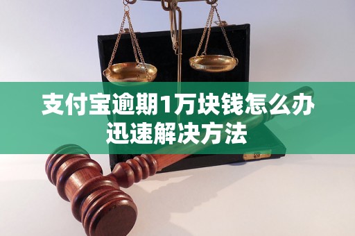 支付宝逾期1万块钱怎么办迅速解决方法