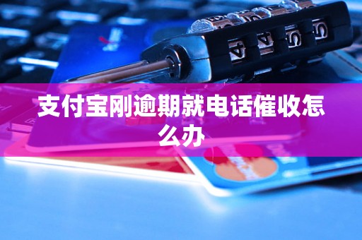 支付宝刚逾期就电话催收怎么办