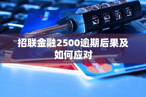 招联金融2500逾期后果及如何应对