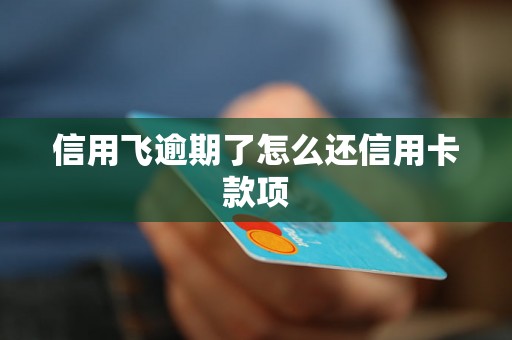 信用飞逾期了怎么还信用卡款项