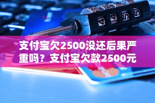 支付宝欠2500没还后果严重吗？支付宝欠款2500元未还会被追究责任吗？