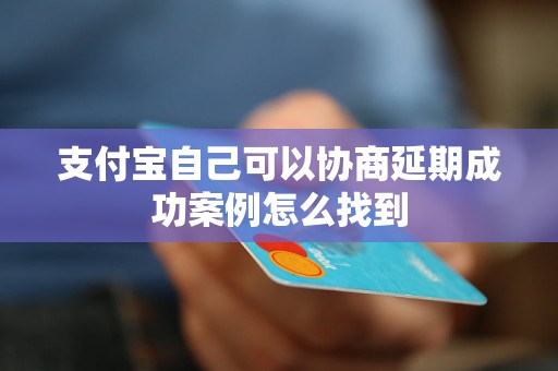 支付宝自己可以协商延期成功案例怎么找到