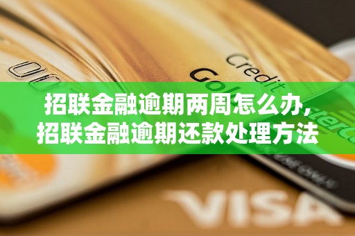 招联金融逾期两周怎么办,招联金融逾期还款处理方法