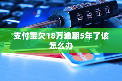 支付宝欠18万逾期5年了该怎么办