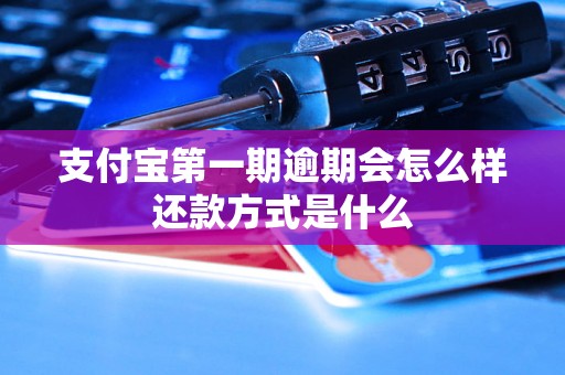 支付宝第一期逾期会怎么样还款方式是什么