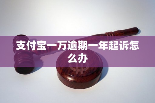 支付宝一万逾期一年起诉怎么办