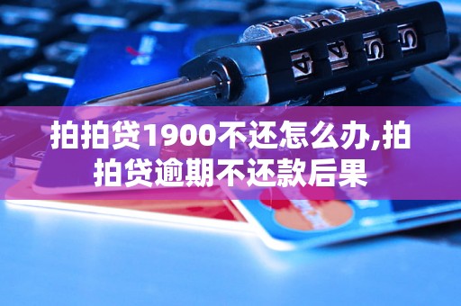 拍拍贷1900不还怎么办,拍拍贷逾期不还款后果