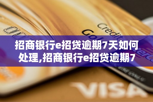 招商银行e招贷逾期7天如何处理,招商银行e招贷逾期7天后的解决办法