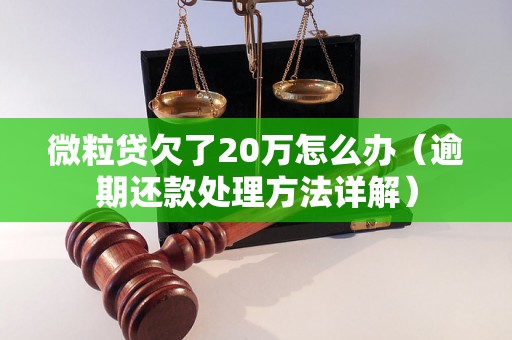 微粒贷欠了20万怎么办（逾期还款处理方法详解）