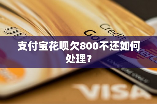 支付宝花呗欠800不还如何处理？