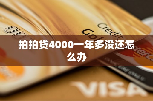 拍拍贷4000一年多没还怎么办