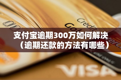 支付宝逾期300万如何解决（逾期还款的方法有哪些）