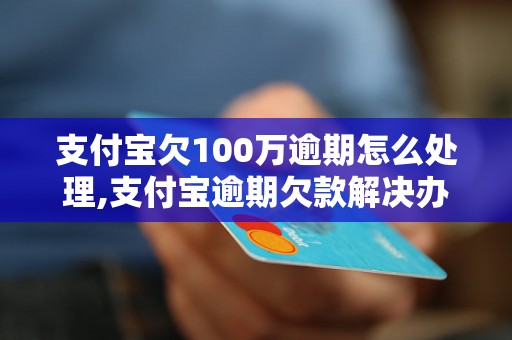 支付宝欠100万逾期怎么处理,支付宝逾期欠款解决办法