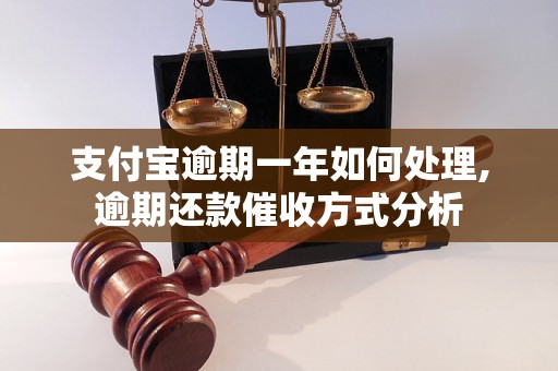 支付宝逾期一年如何处理,逾期还款催收方式分析