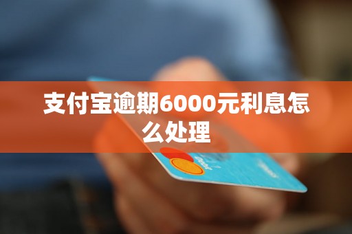 支付宝逾期6000元利息怎么处理