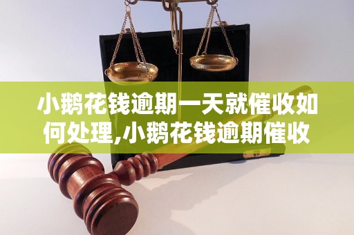 小鹅花钱逾期一天就催收如何处理,小鹅花钱逾期催收机制详解