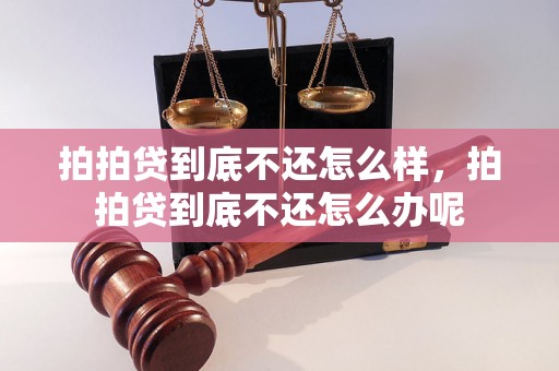 拍拍贷到底不还怎么样，拍拍贷到底不还怎么办呢