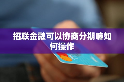 招联金融可以协商分期嘛如何操作