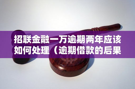 招联金融一万逾期两年应该如何处理（逾期借款的后果及解决方法）