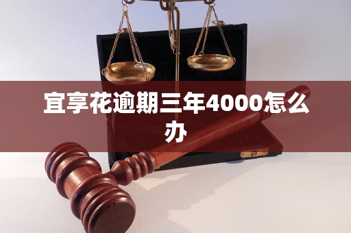 宜享花逾期三年4000怎么办