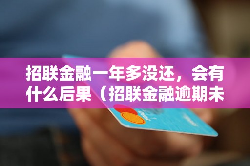 招联金融一年多没还，会有什么后果（招联金融逾期未还会被执行什么）