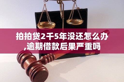 拍拍贷2千5年没还怎么办,逾期借款后果严重吗