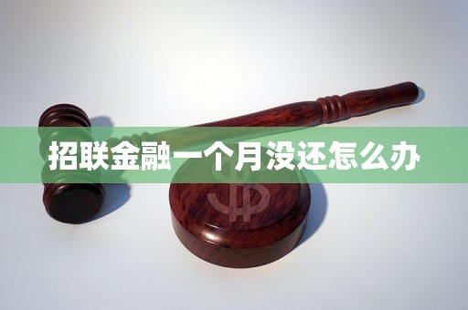 招联金融一个月没还怎么办