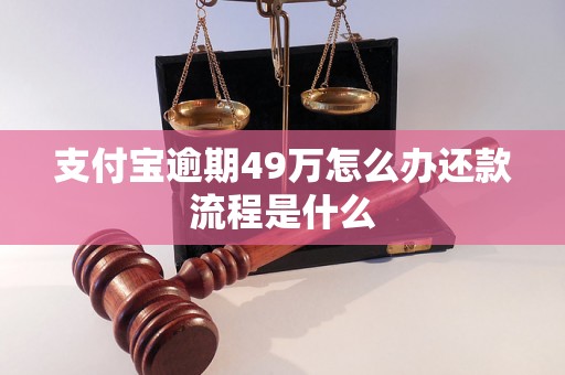 支付宝逾期49万怎么办还款流程是什么