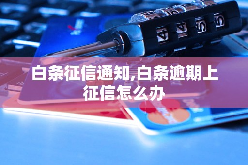 白条征信通知,白条逾期上征信怎么办