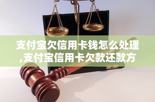 支付宝欠信用卡钱怎么处理,支付宝信用卡欠款还款方法