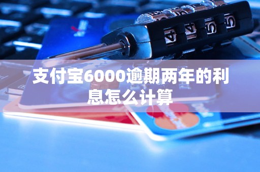 支付宝6000逾期两年的利息怎么计算