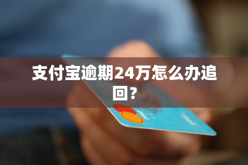 支付宝逾期24万怎么办追回？