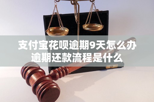 支付宝花呗逾期9天怎么办逾期还款流程是什么