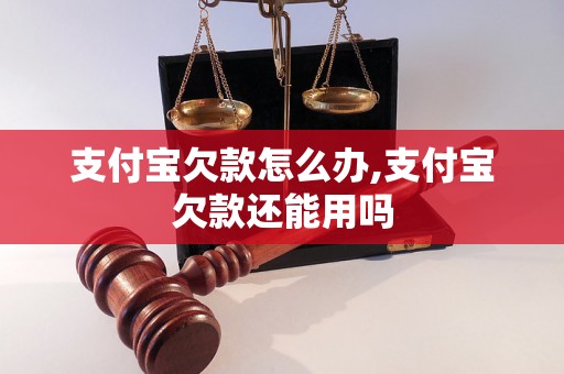 支付宝欠款怎么办,支付宝欠款还能用吗