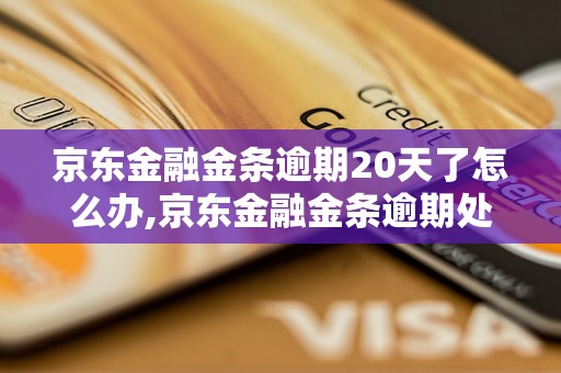 京东金融金条逾期20天了怎么办,京东金融金条逾期处理流程指南