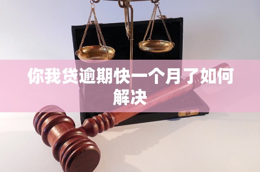 你我贷逾期快一个月了如何解决