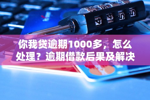 你我贷逾期1000多，怎么处理？逾期借款后果及解决方法