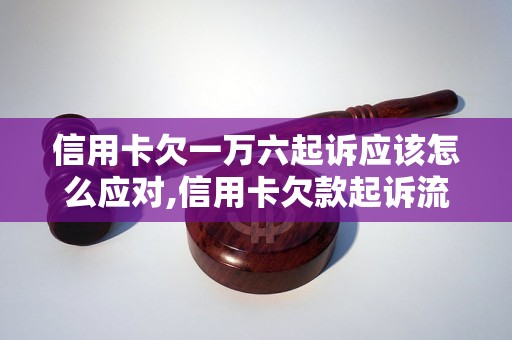 信用卡欠一万六起诉应该怎么应对,信用卡欠款起诉流程详解