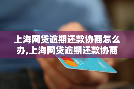 上海网贷逾期还款协商怎么办,上海网贷逾期还款协商流程解析