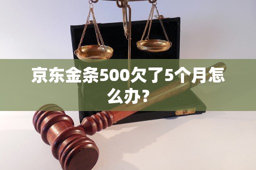 京东金条500欠了5个月怎么办？