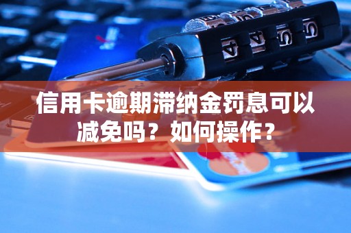 信用卡逾期滞纳金罚息可以减免吗？如何操作？