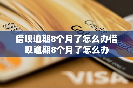 借呗逾期8个月了怎么办借呗逾期8个月了怎么办