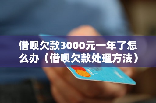 借呗欠款3000元一年了怎么办（借呗欠款处理方法）