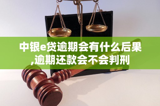 中银e贷逾期会有什么后果,逾期还款会不会判刑