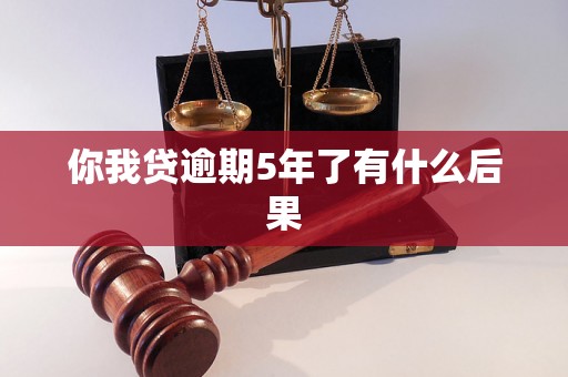 你我贷逾期5年了有什么后果