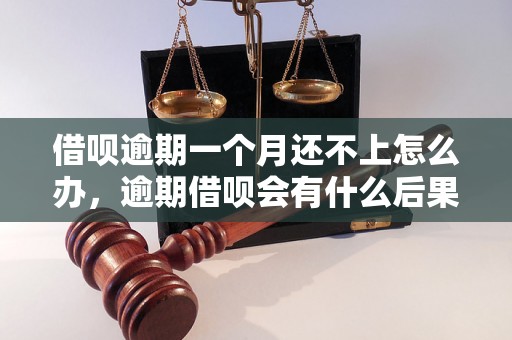 借呗逾期一个月还不上怎么办，逾期借呗会有什么后果